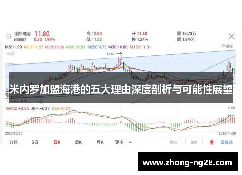 米内罗加盟海港的五大理由深度剖析与可能性展望
