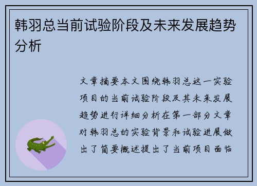 韩羽总当前试验阶段及未来发展趋势分析